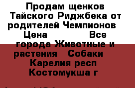 Продам щенков Тайского Риджбека от родителей Чемпионов › Цена ­ 30 000 - Все города Животные и растения » Собаки   . Карелия респ.,Костомукша г.